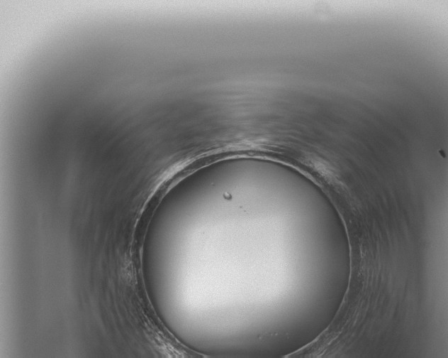 X0000059831308200510281747