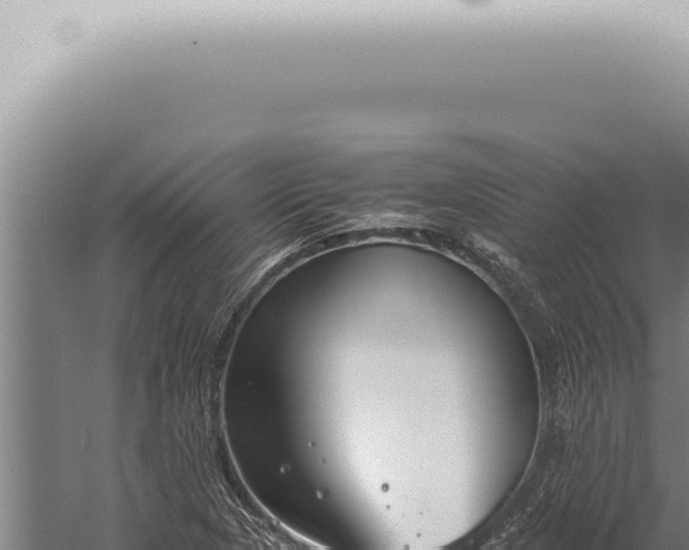 X0000059831313200510281747