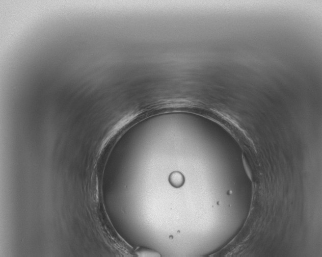 X0000059831317200510281747