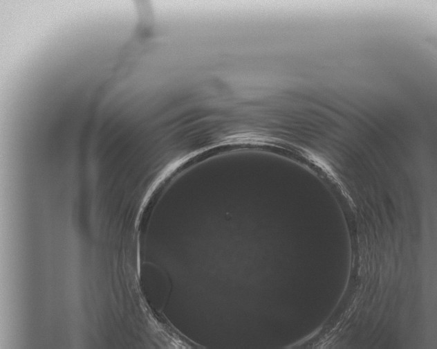 X0000059831323200510281747