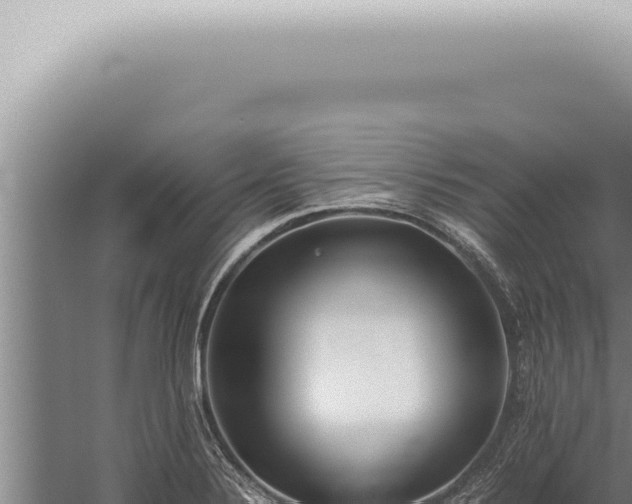 X0000059831324200510281747