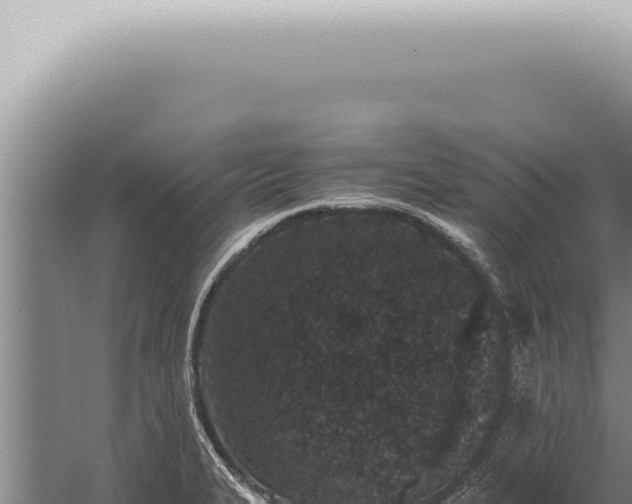 X0000059831327200510281747