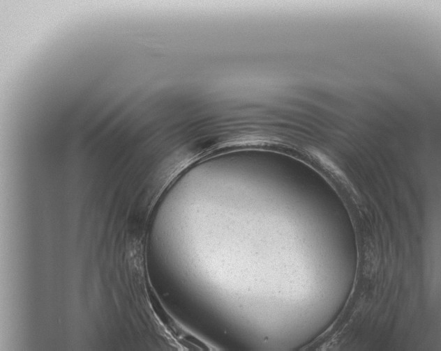 X0000059831329200510281747