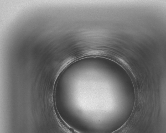 X0000059831330200510281747