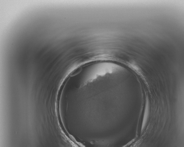 X0000059831334200510281748