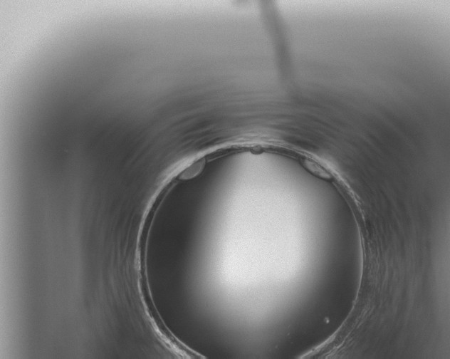 X0000059831335200510281748