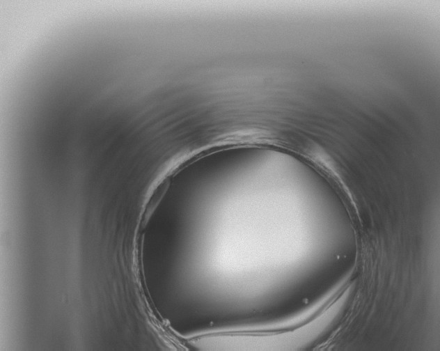 X0000059831336200510281748