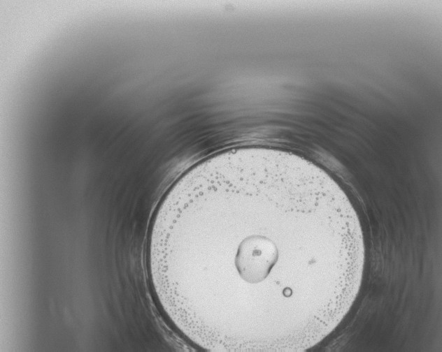 X0000059831338200510281748