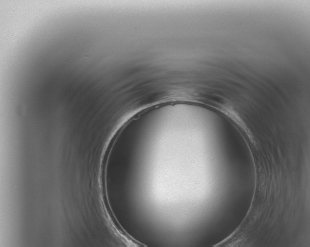 X0000059831339200510281748