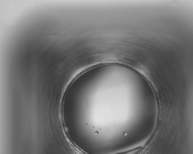 X0000059831342200510281748