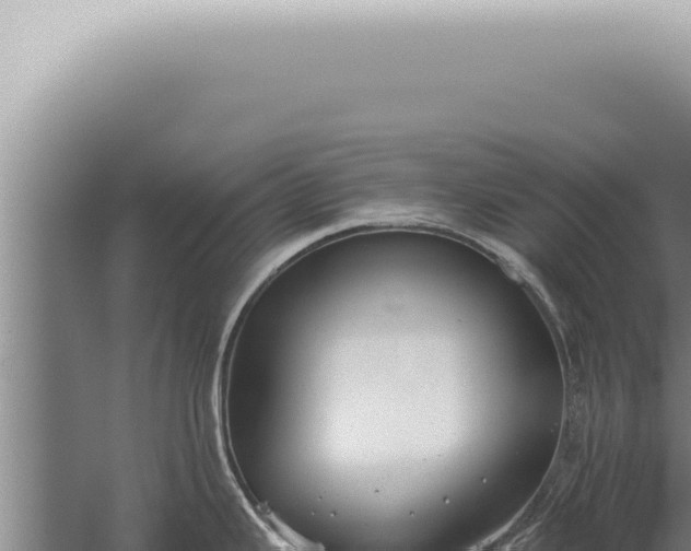 X0000059831343200510281748