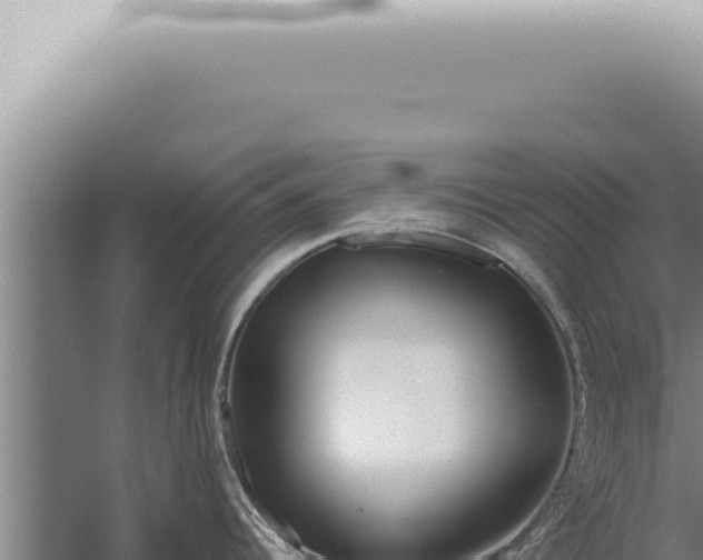 X0000059831344200510281748