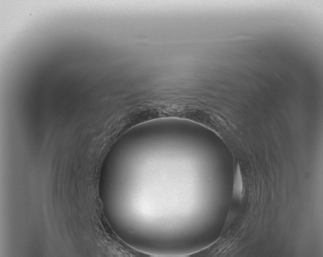 X0000059831345200510281747