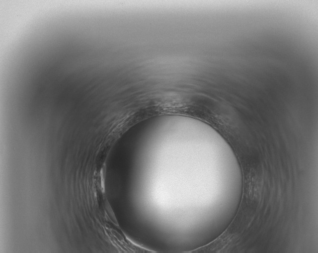 X0000059831346200510281747