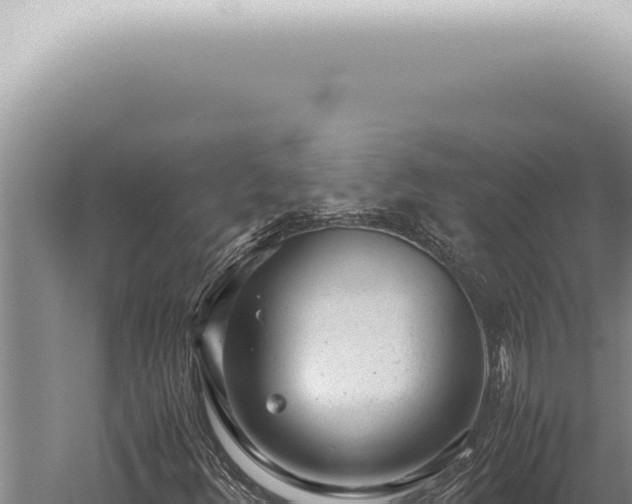 X0000059831348200510281747