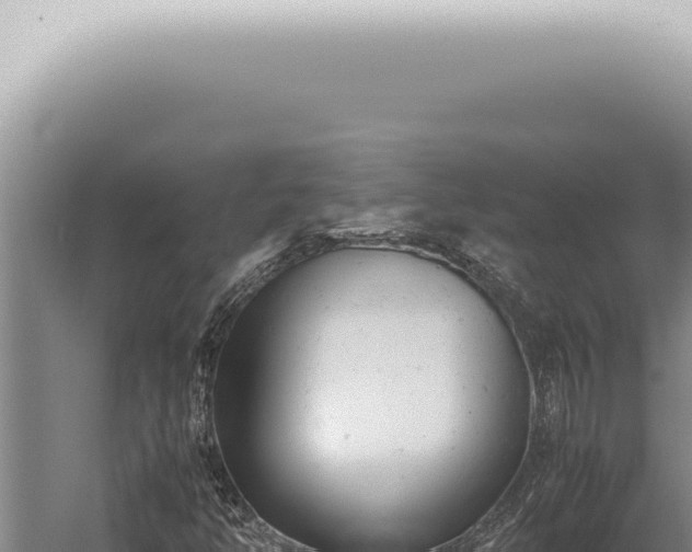 X0000059831350200510281747