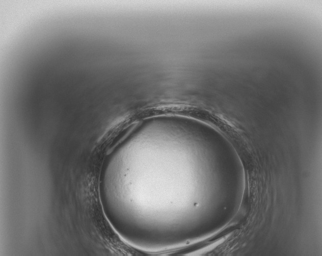 X0000059831351200510281747