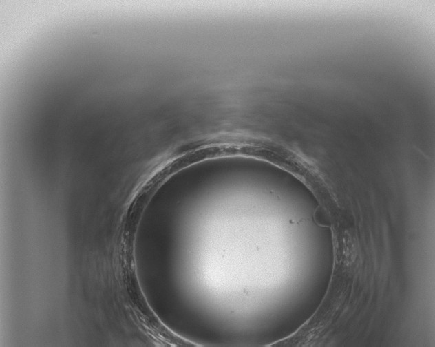 X0000059831352200510281747