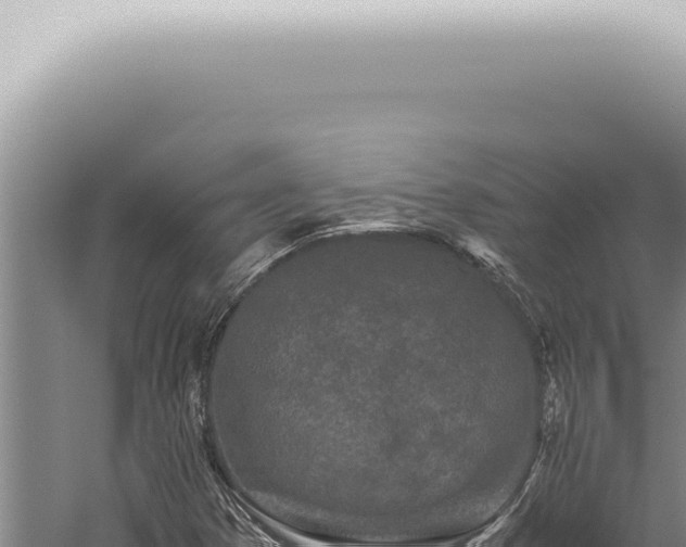 X0000059831353200510281747