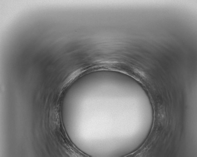 X0000059831354200510281747