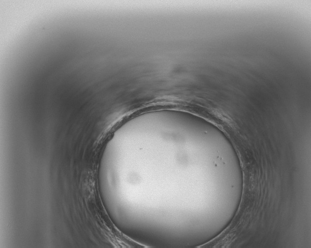 X0000059831355200510281747