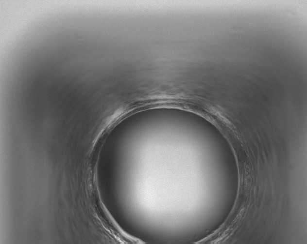 X0000059831357200510281747