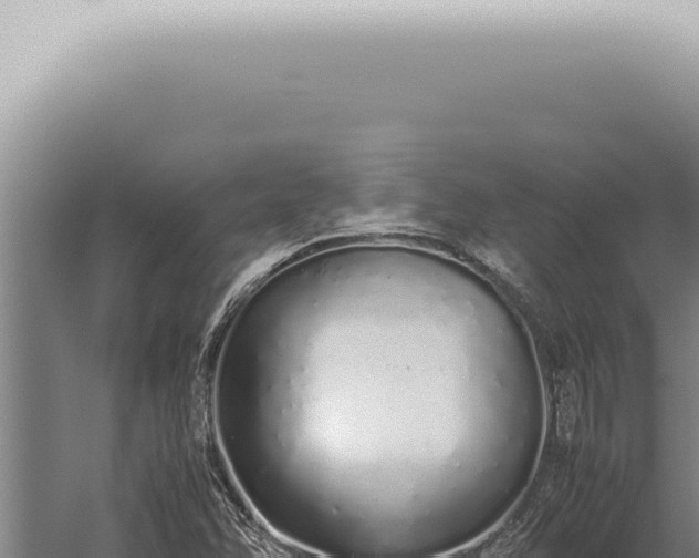 X0000059831358200510281747