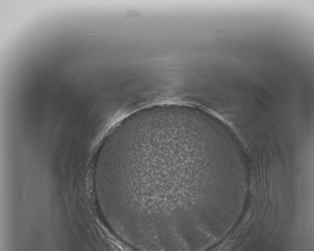 X0000059831359200510281747