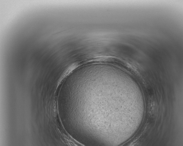 X0000059831362200510281747