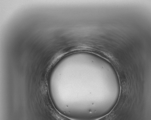 X0000059831363200510281747