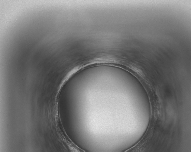 X0000059831366200510281747