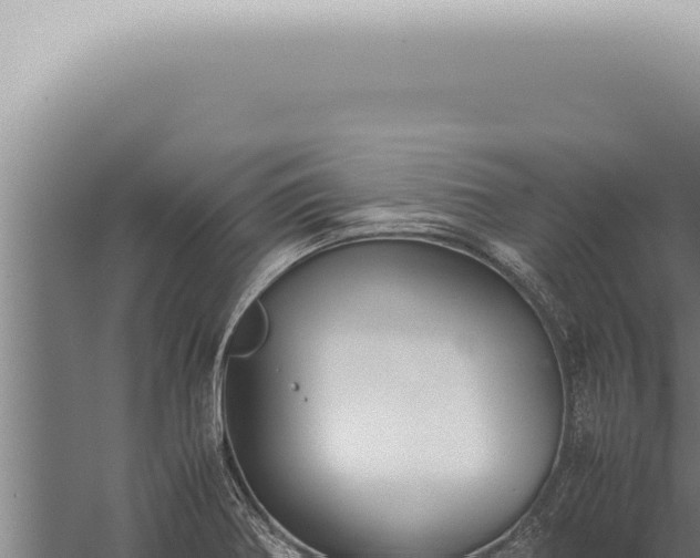 X0000059831370200510281746