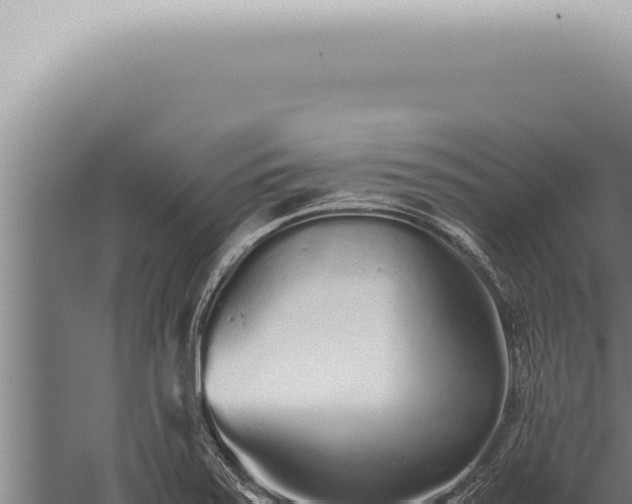 X0000059831371200510281746