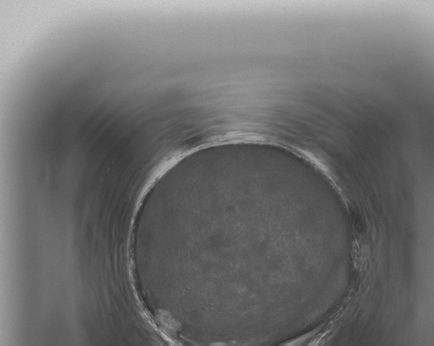 X0000059831373200510281746