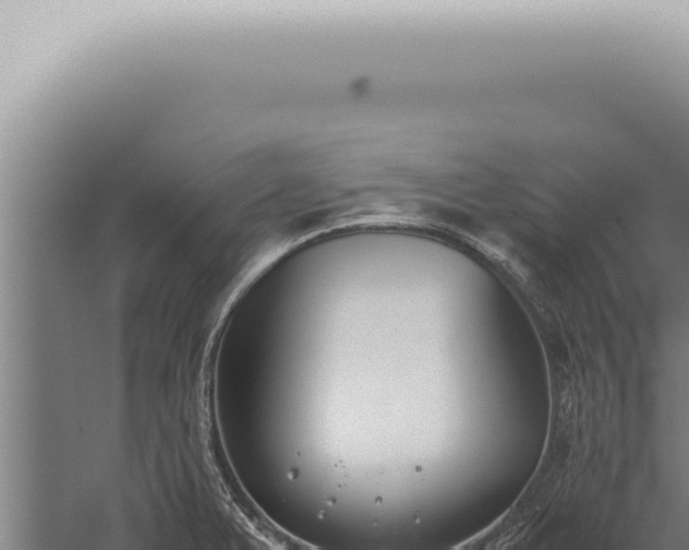 X0000059831375200510281746