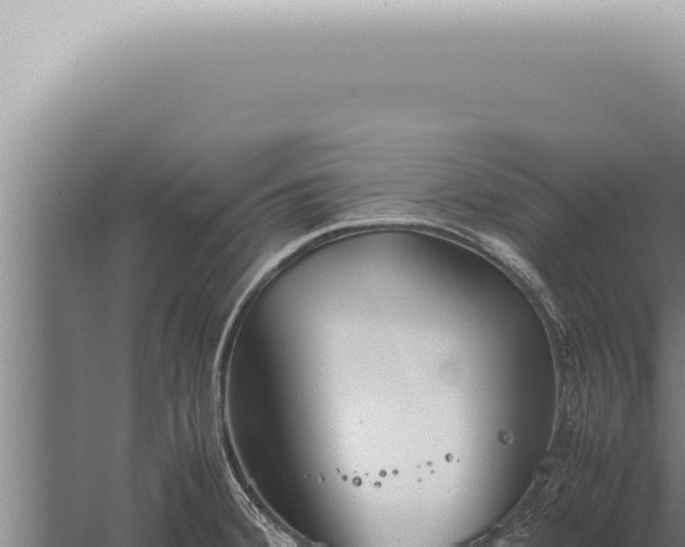 X0000059831380200510281746