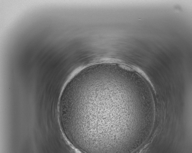 X0000059831381200510281746