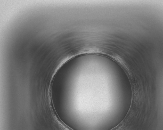 X0000059831382200510281746