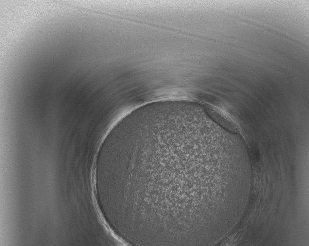 X0000059831383200510281746