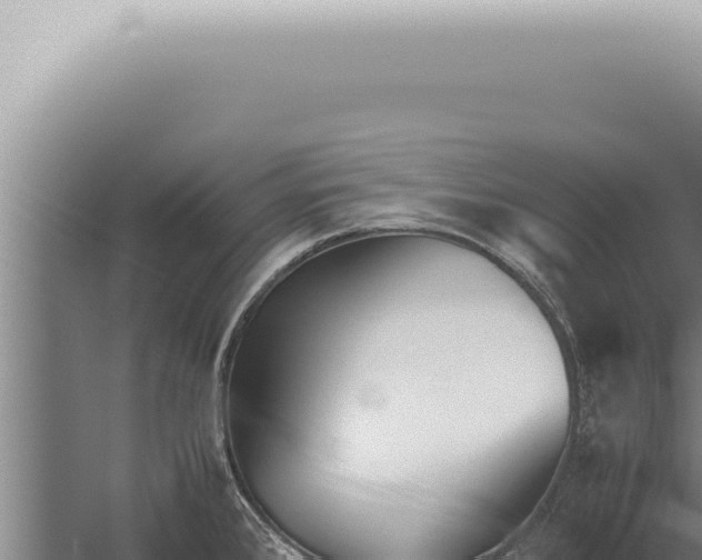 X0000059831384200510281746