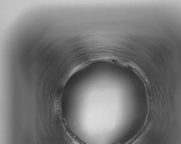 X0000059831385200510281746