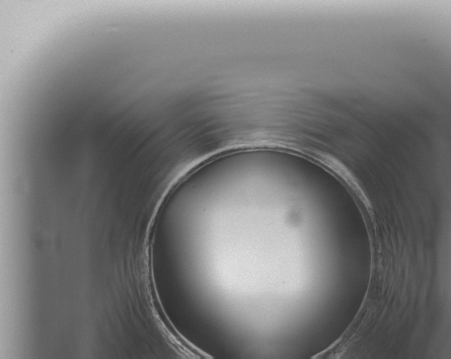 X0000059831388200510281746