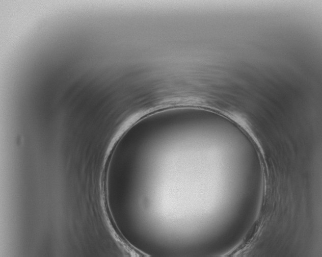 X0000059831389200510281746