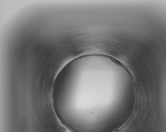 X0000059831390200510281746