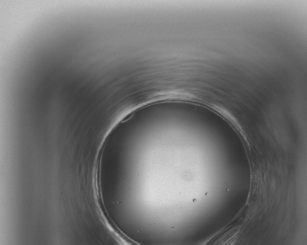 X0000059831391200510281746