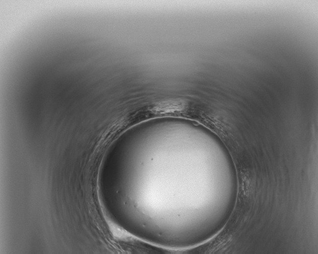 X0000059831393200510281745