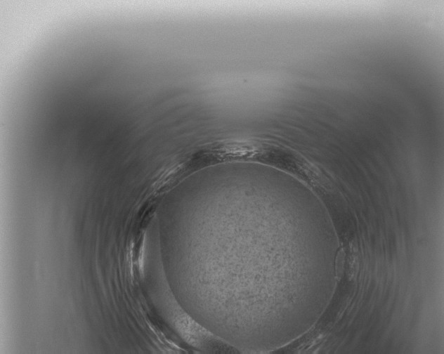 X0000059831394200510281745