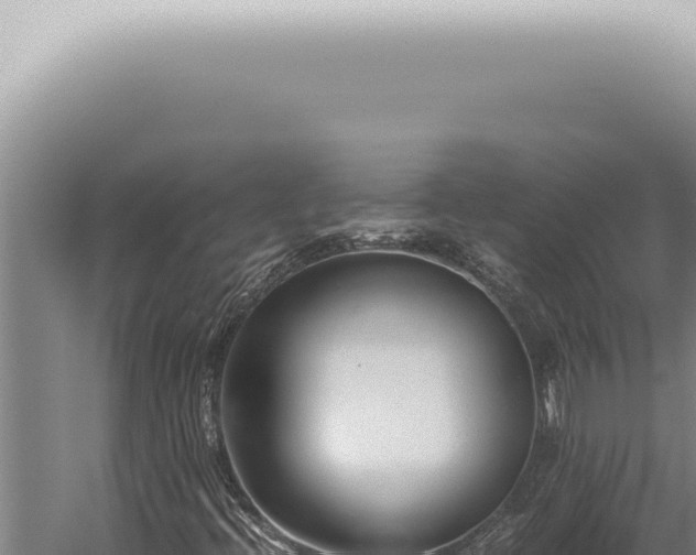 X0000059831396200510281745