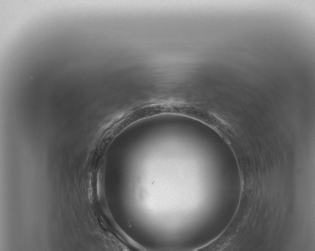 X0000059831398200510281745