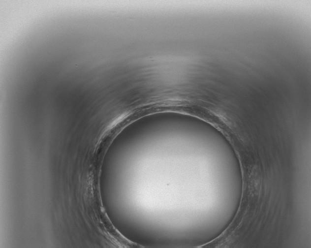 X0000059831402200510281745